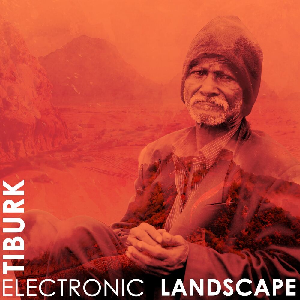 Picture of Electronic Landscape
