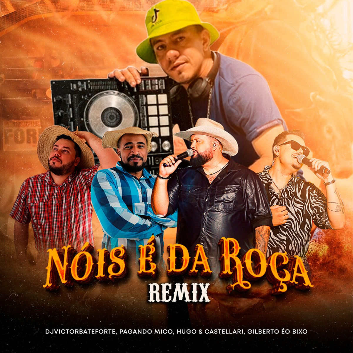 Album cover of Nóis é da Roça