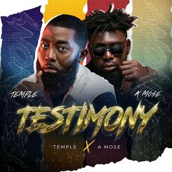 Cover of Testimony