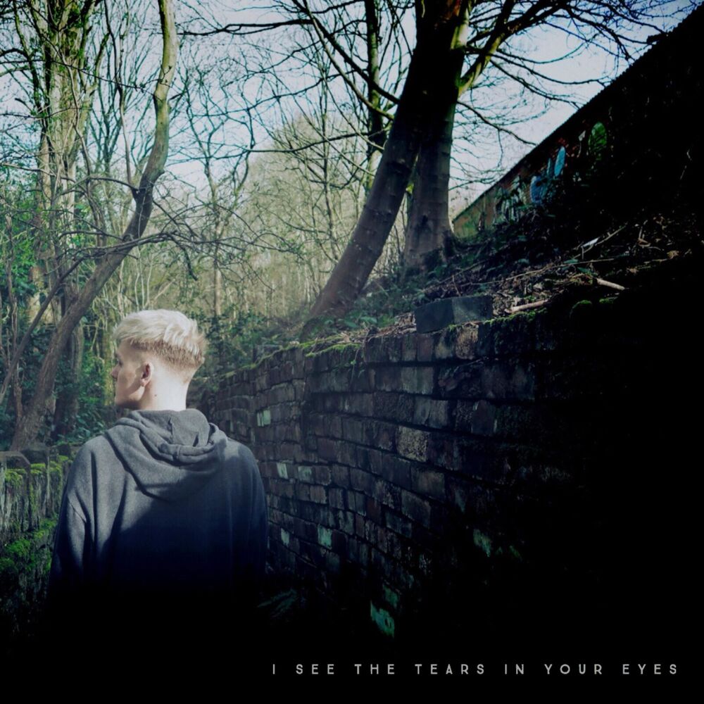 Picture of I See the Tears in Your Eyes