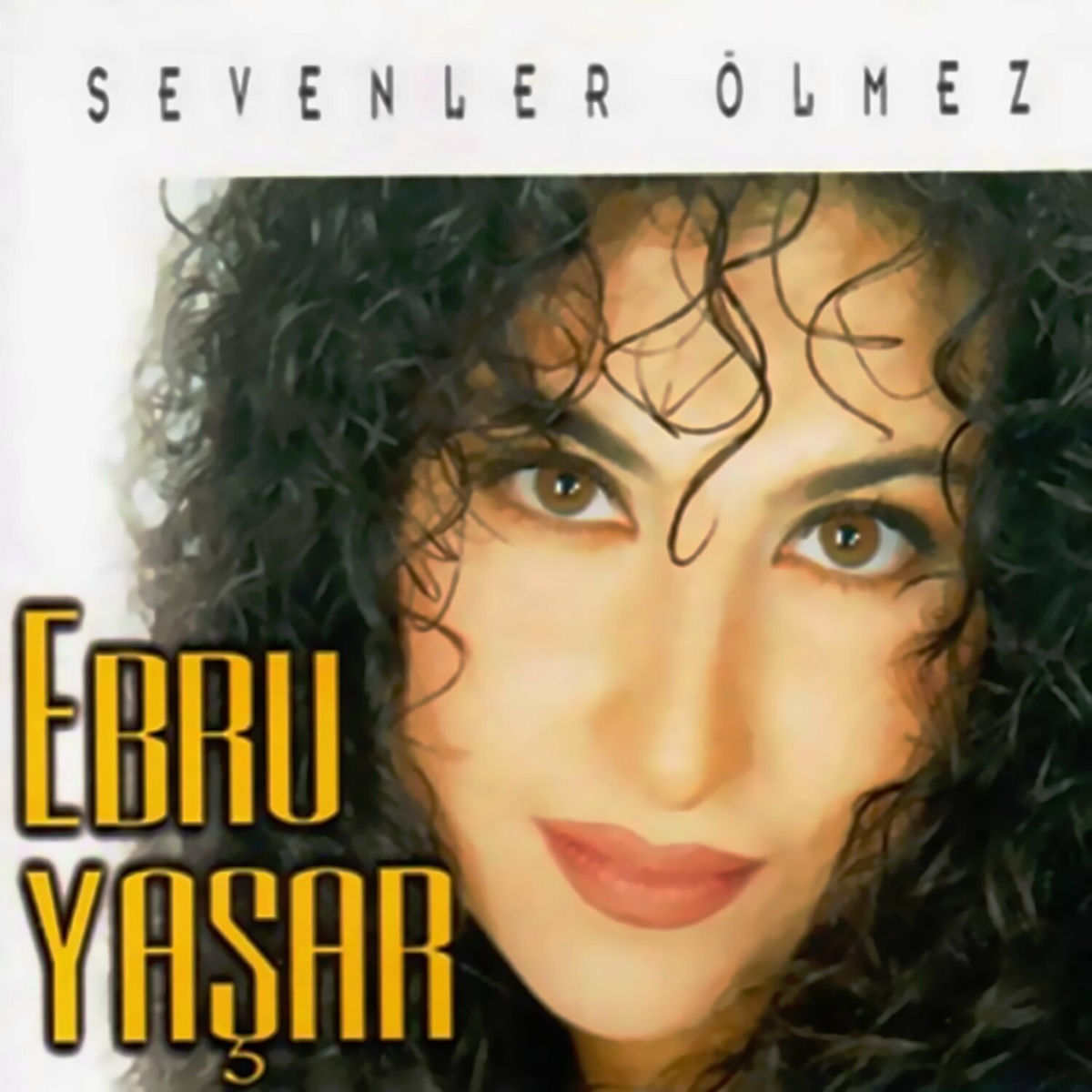 Album cover of Sevenler Ölmez