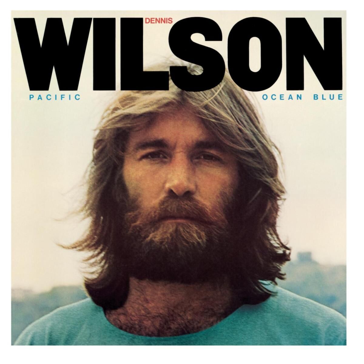 Album cover of Dreamer