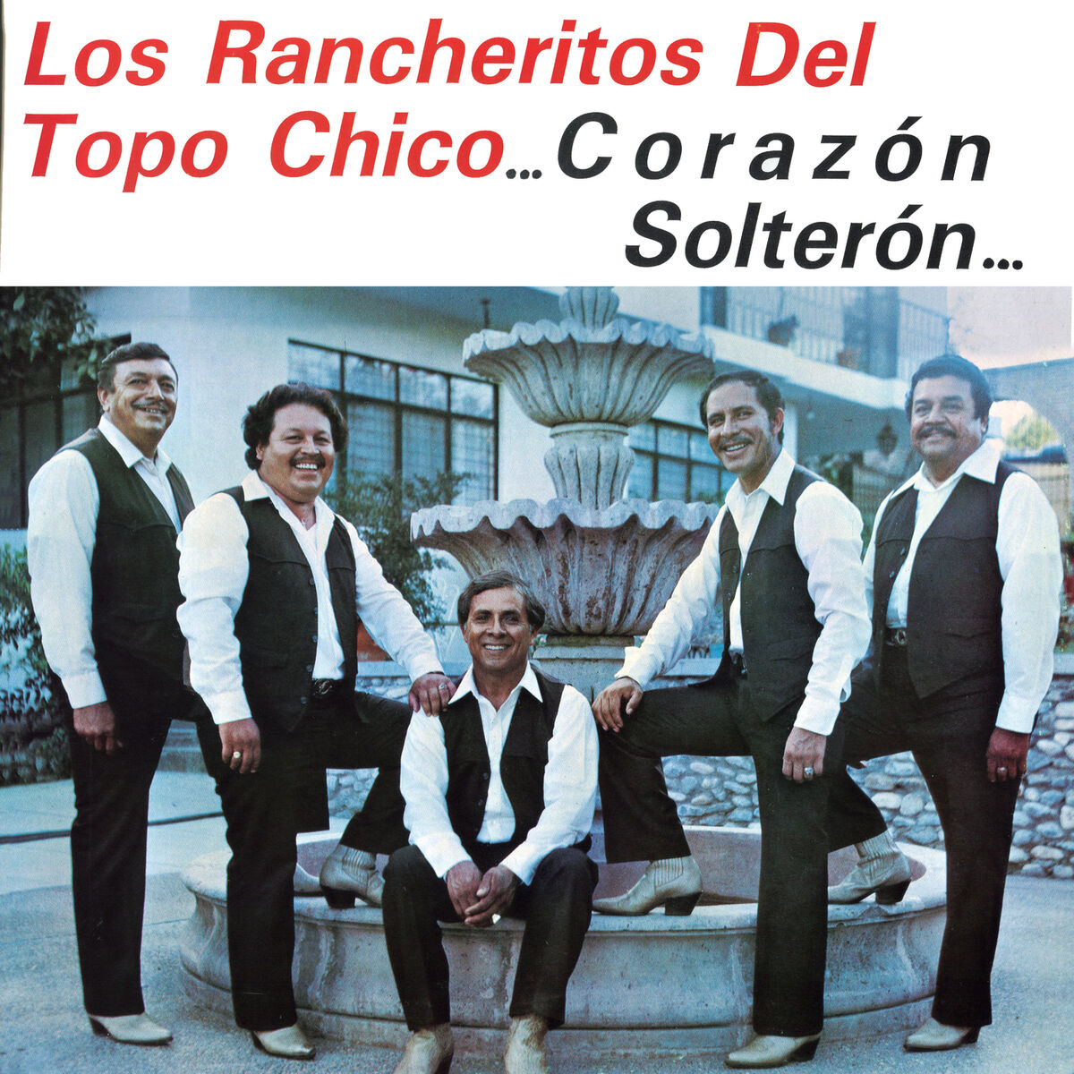 Album cover of Corazón Solterón