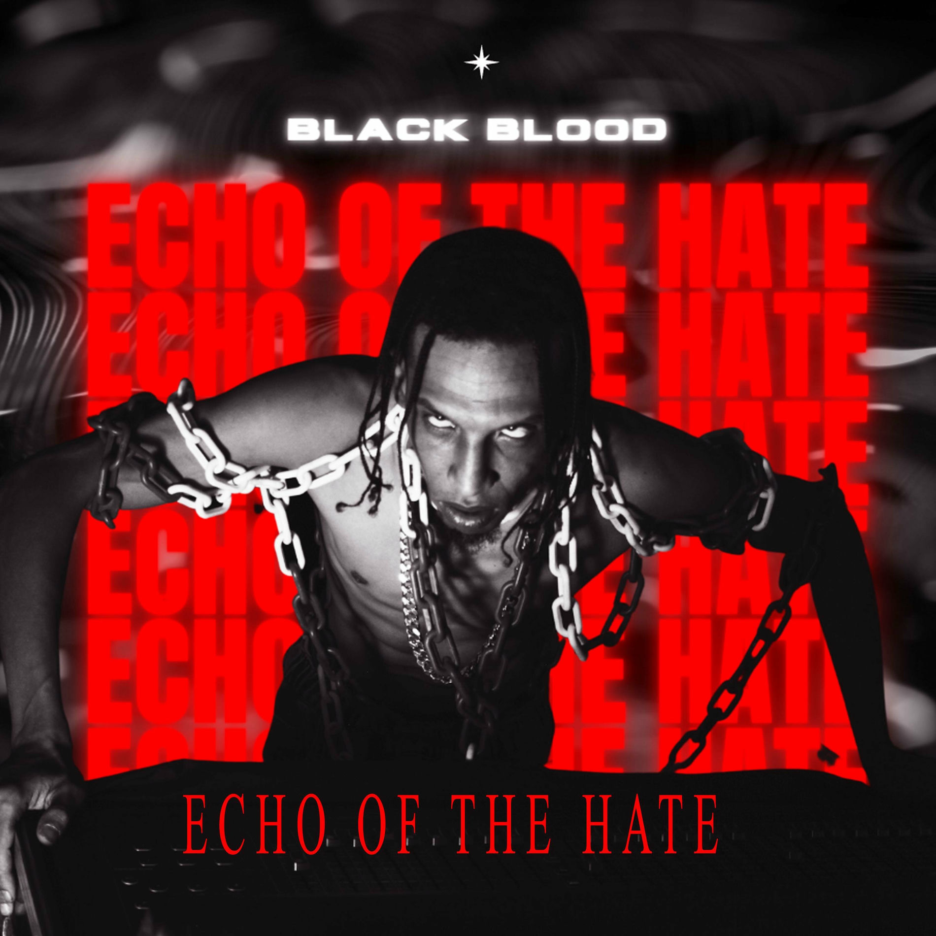 Album cover of Echo of the hate