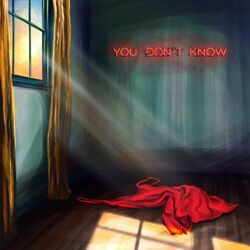 Cover of you don't know