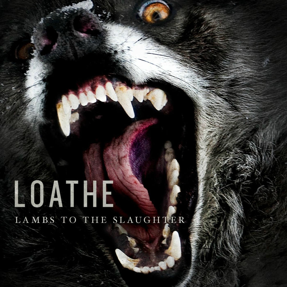 Album cover of Lambs to the Slaughter