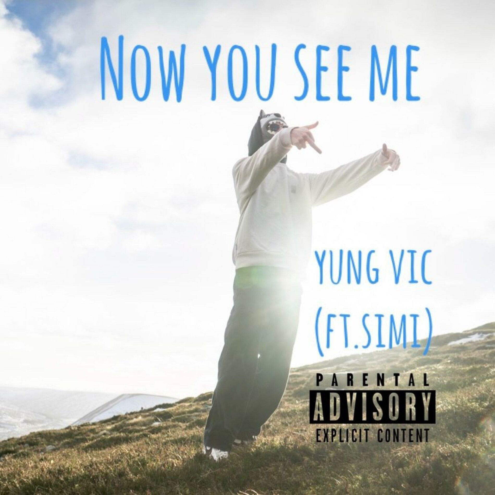 Album cover of Now you see me