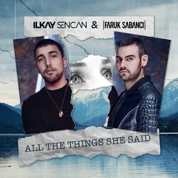 Cover of All The Things She Said