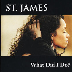 Cover of What Did I Do?