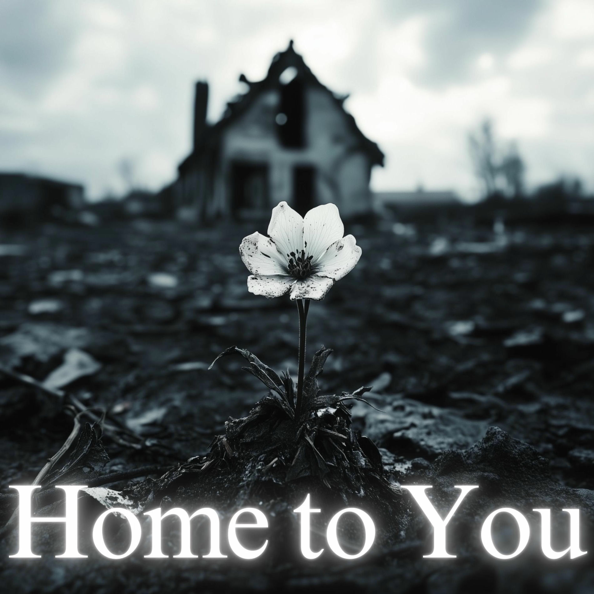 Album cover of Home to You (feat. Roisin)
