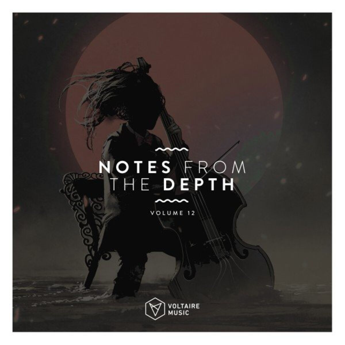 Album cover of Notes from the Depth, Vol. 12
