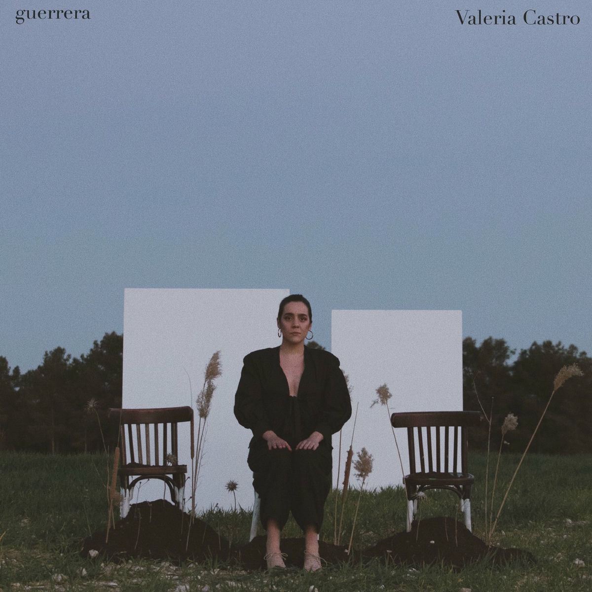 Album cover of guerrera