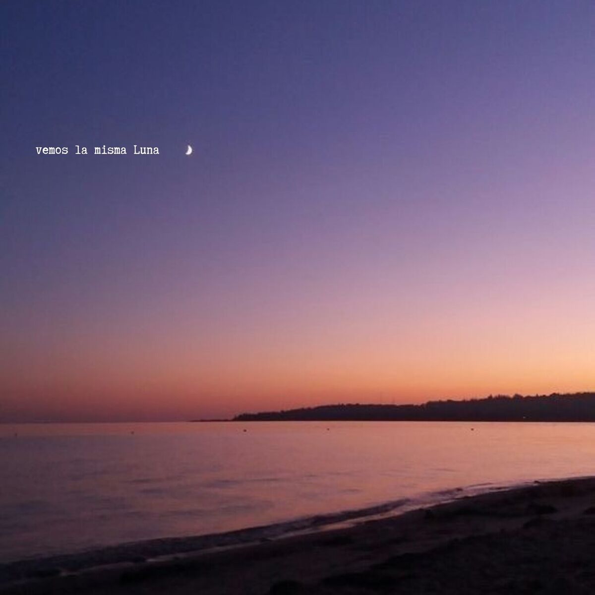 Album cover of la canción más feliz