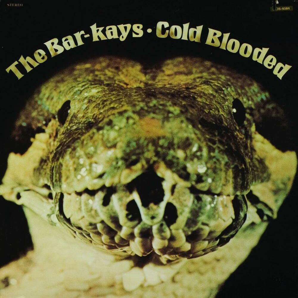 Picture of Coldblooded