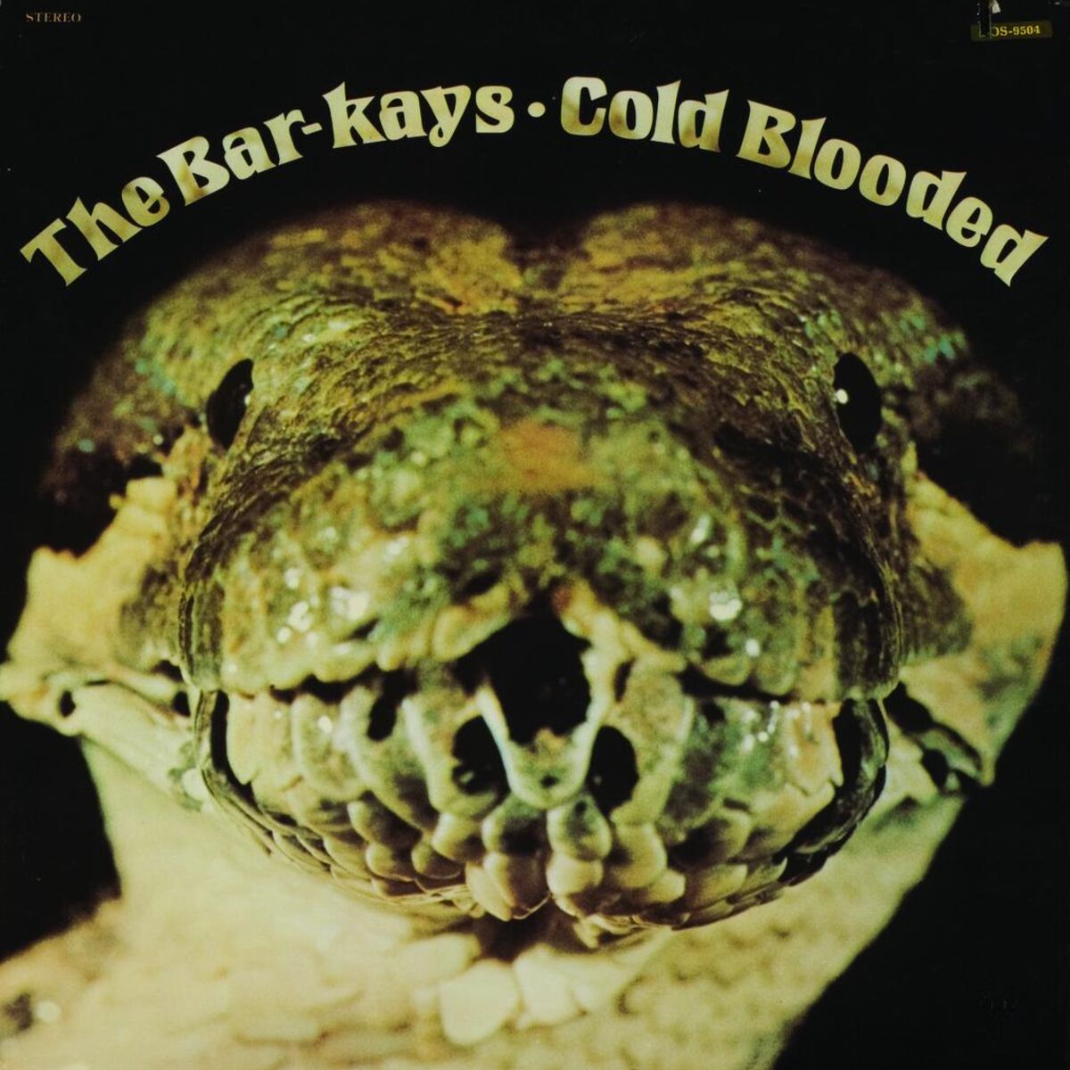 Album cover of Coldblooded