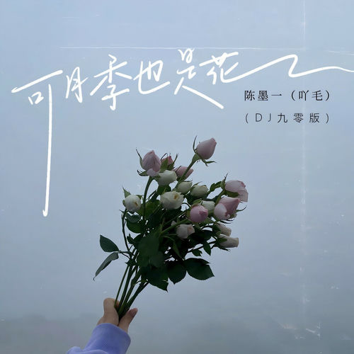 可月季也是花 (DJ九零版)