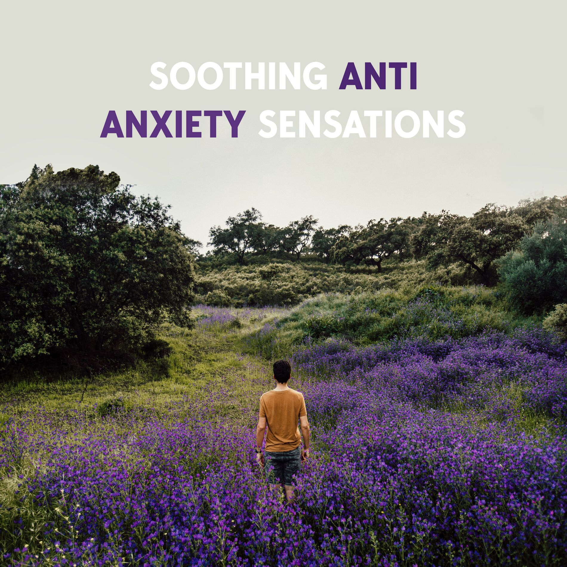 Album cover of Soothing Anti Anxiety Sensations