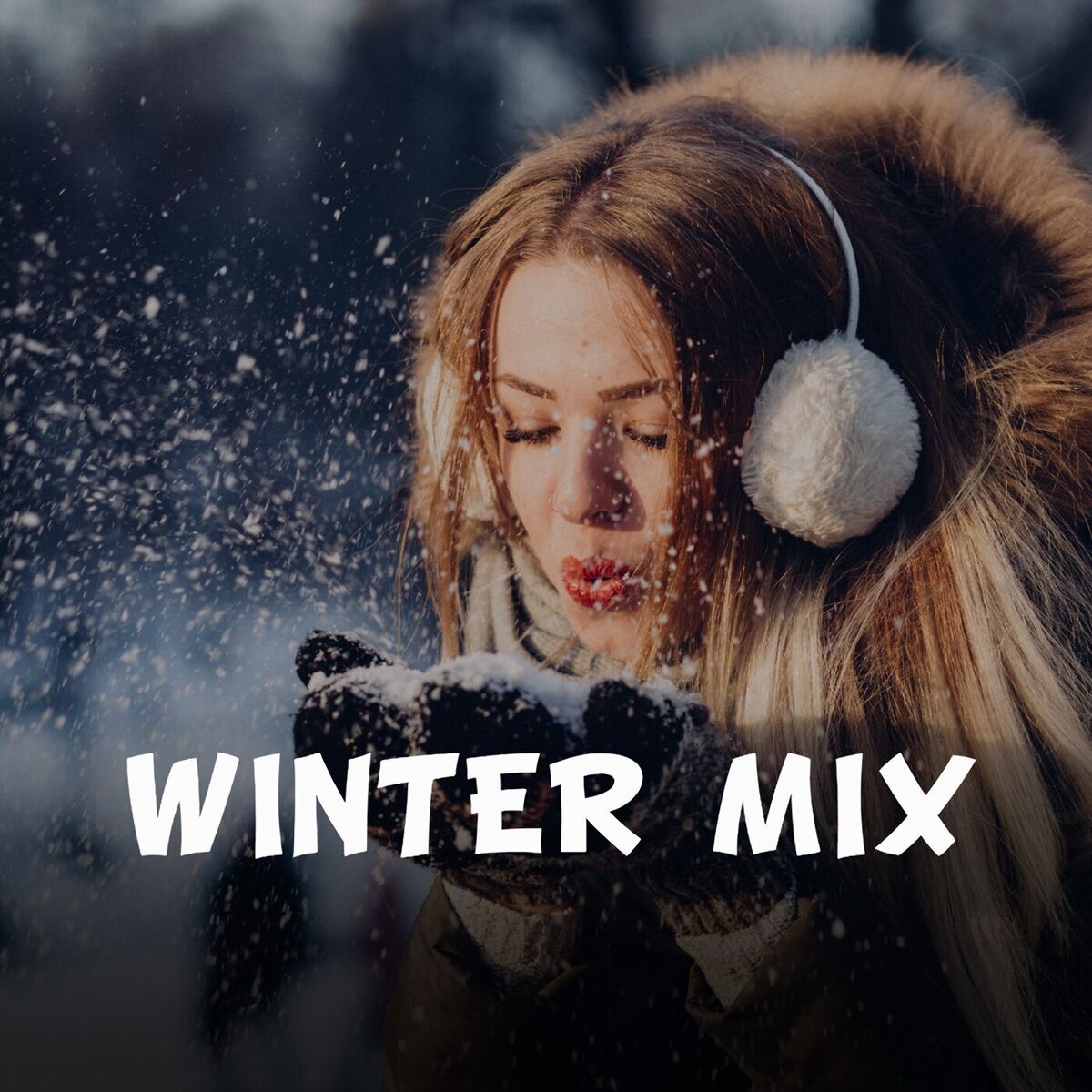 Album cover of Winter Mix