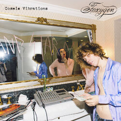 Cover of Cosmic Vibrations