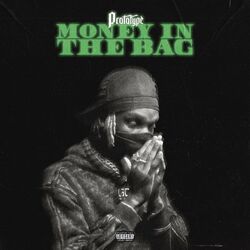 Cover of Money In The Bag