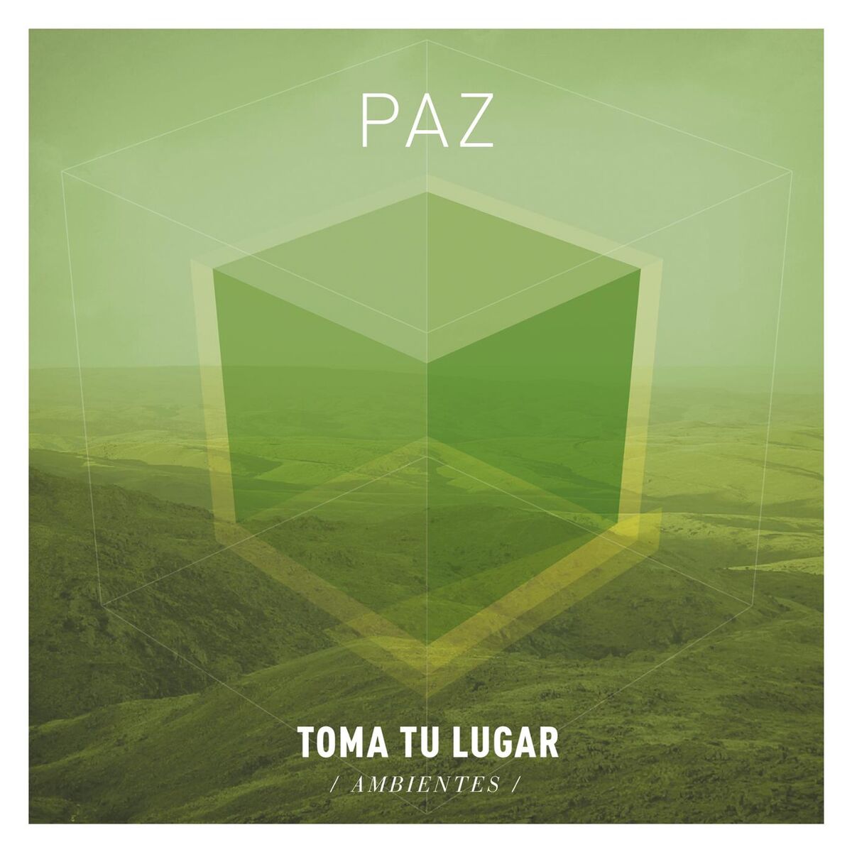 Album cover of Ambientes