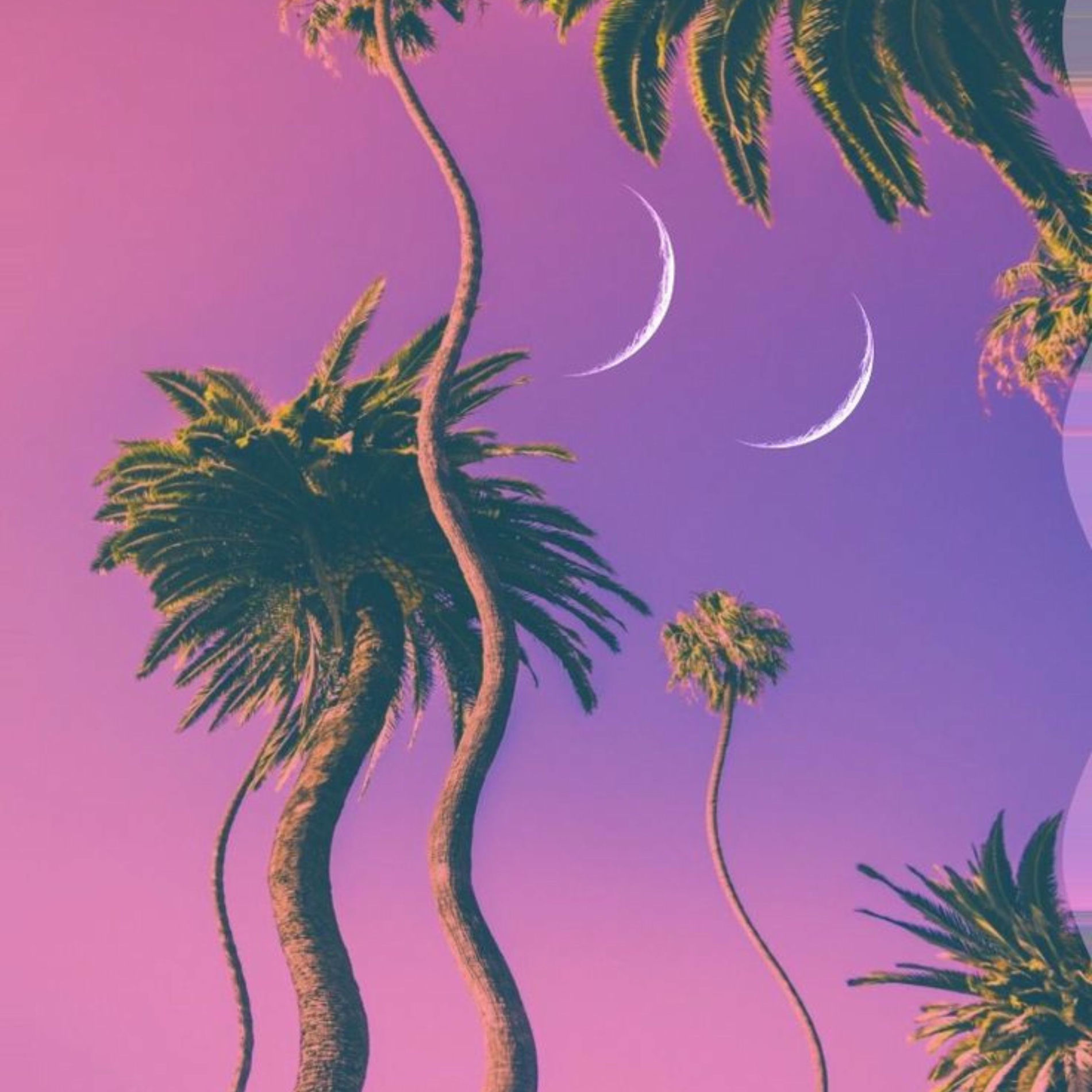 Album cover of Horizon Scanner (2025)