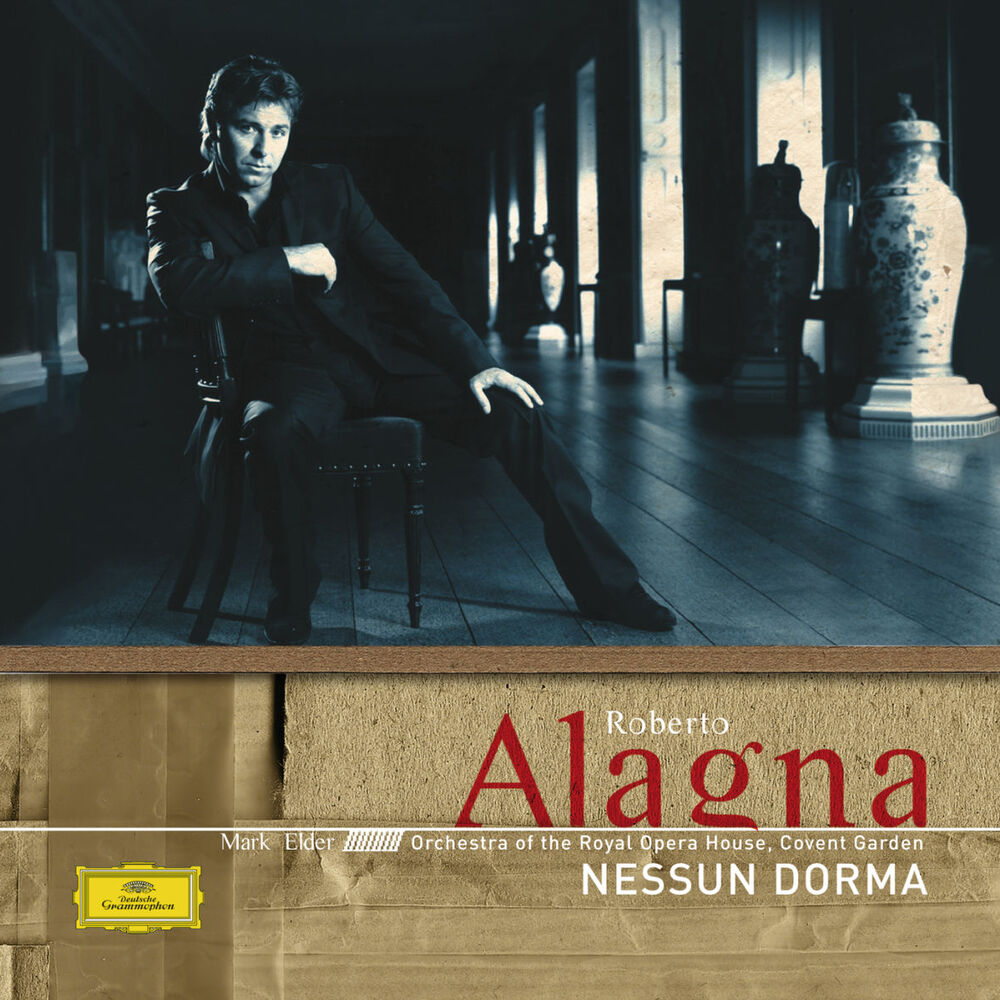 Picture of Nessun Dorma