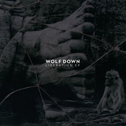 Capa de Torch of Reason
