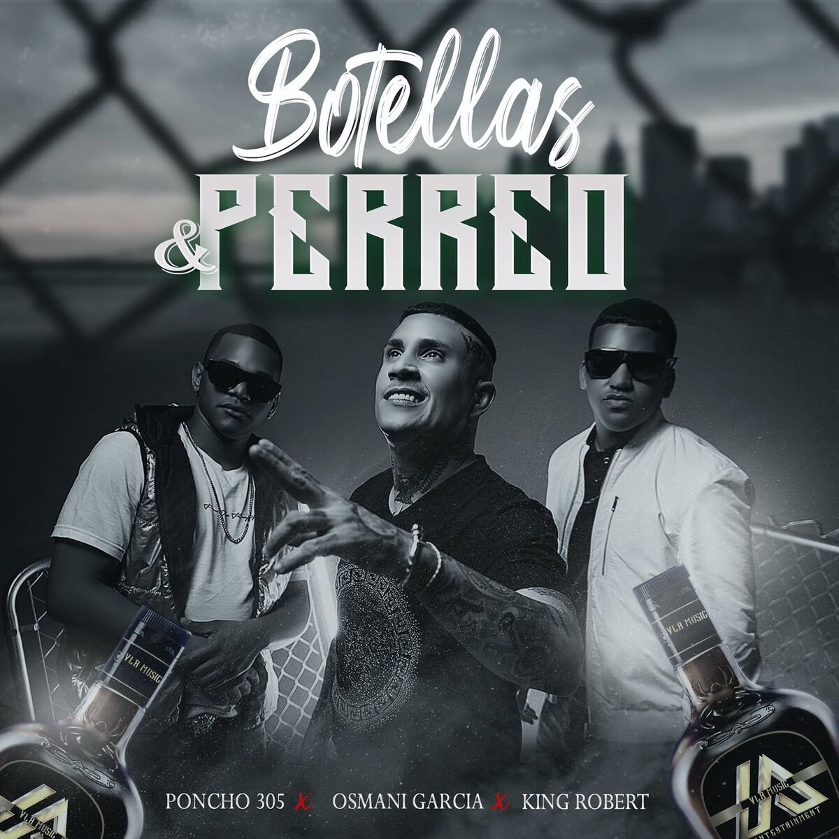 Album cover of Botellas y Perreo