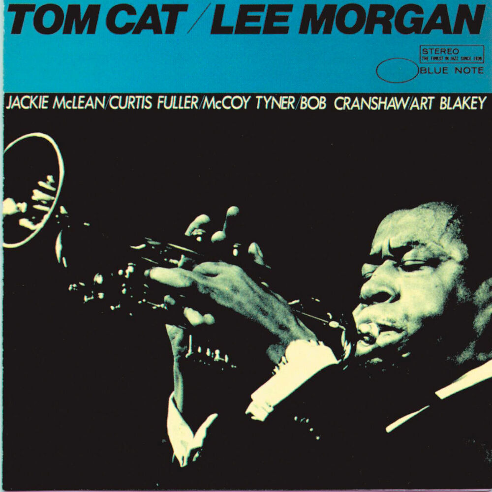 Picture of Tom Cat
