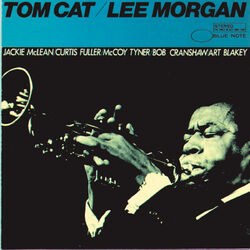 Cover of Tom Cat