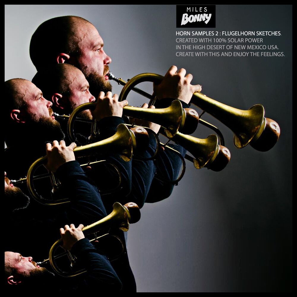 Picture of Horn Samples, Vol. 2