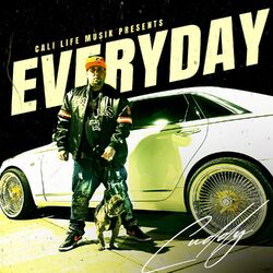 Cover of Everyday