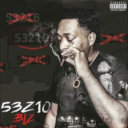 Cover of 53210