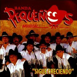 Cover of Banda Pequeños Musical