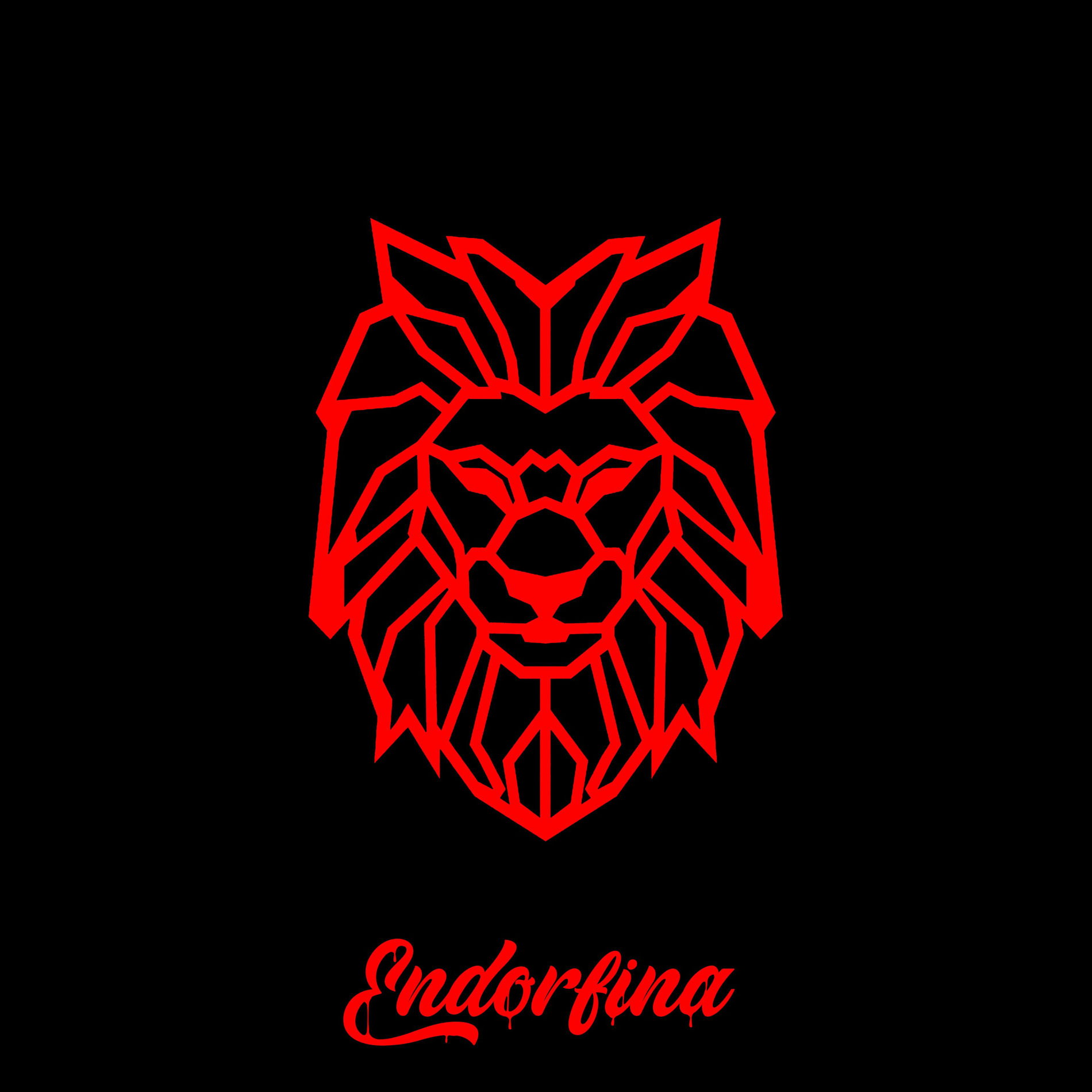 Album cover of Endorfina