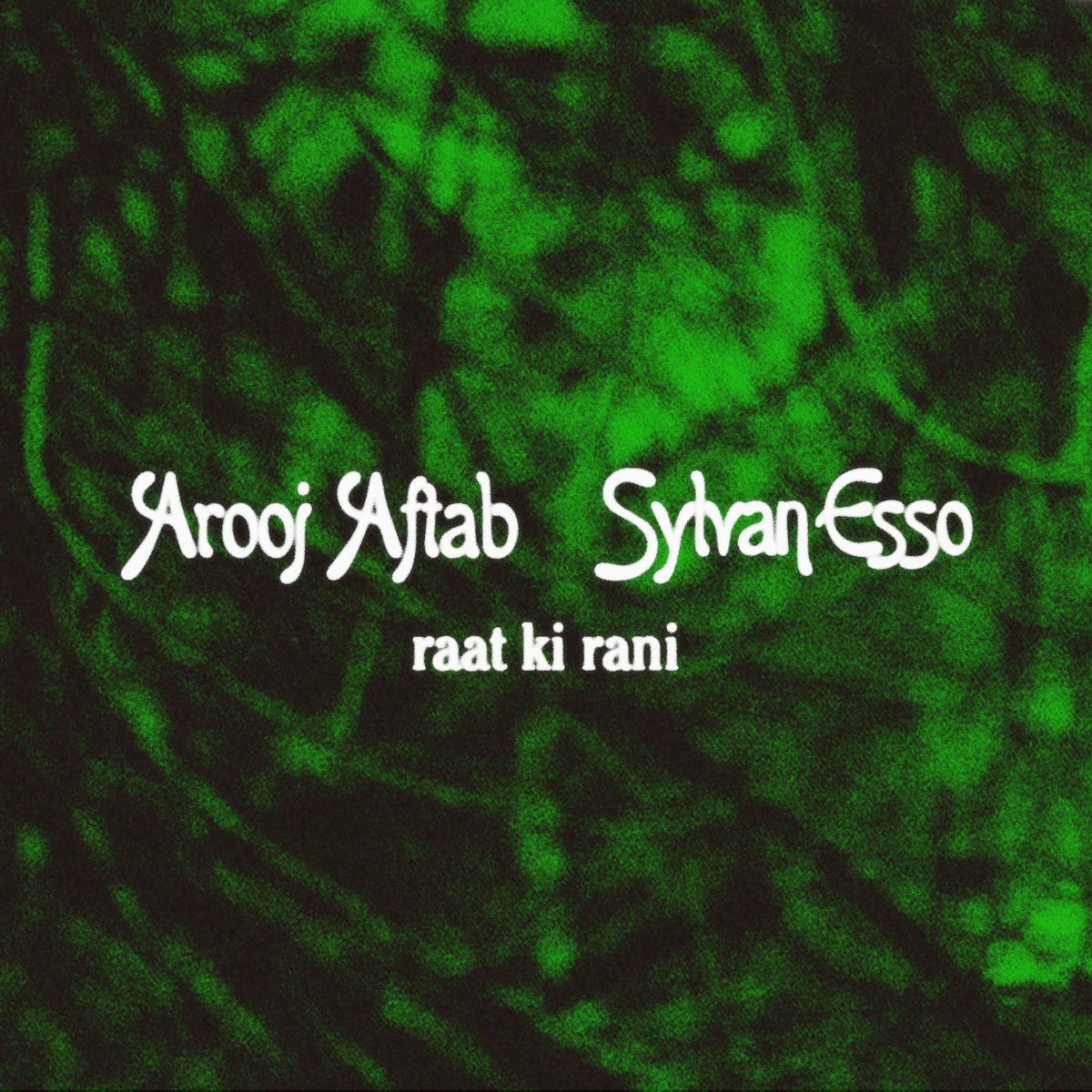 Album cover of raat ki rani (Sylvan Esso Remix)
