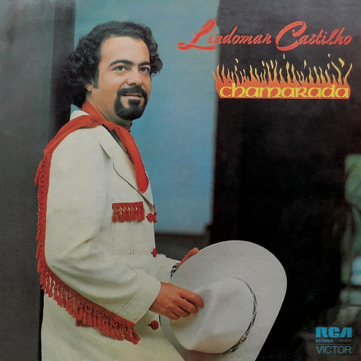 Album cover of Chamarada