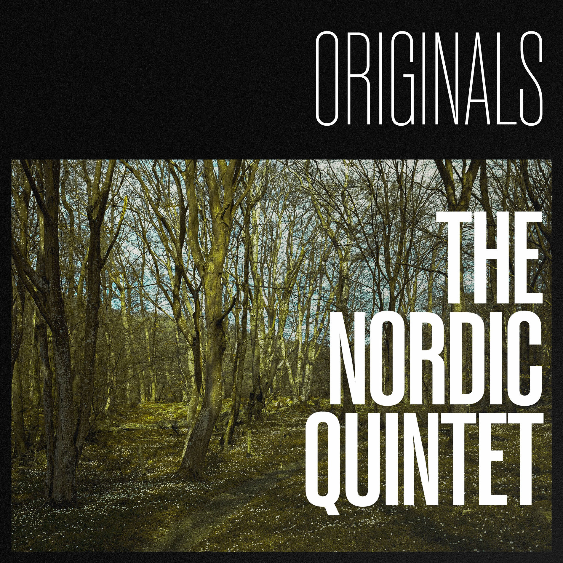 Album cover of Originals by The Nordic Quintet
