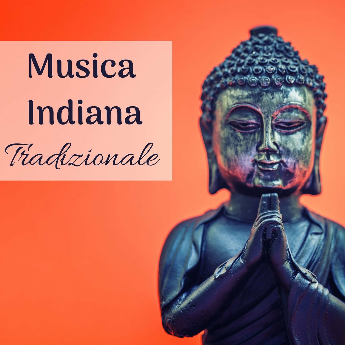 Album cover of Musica indiana tradizionale