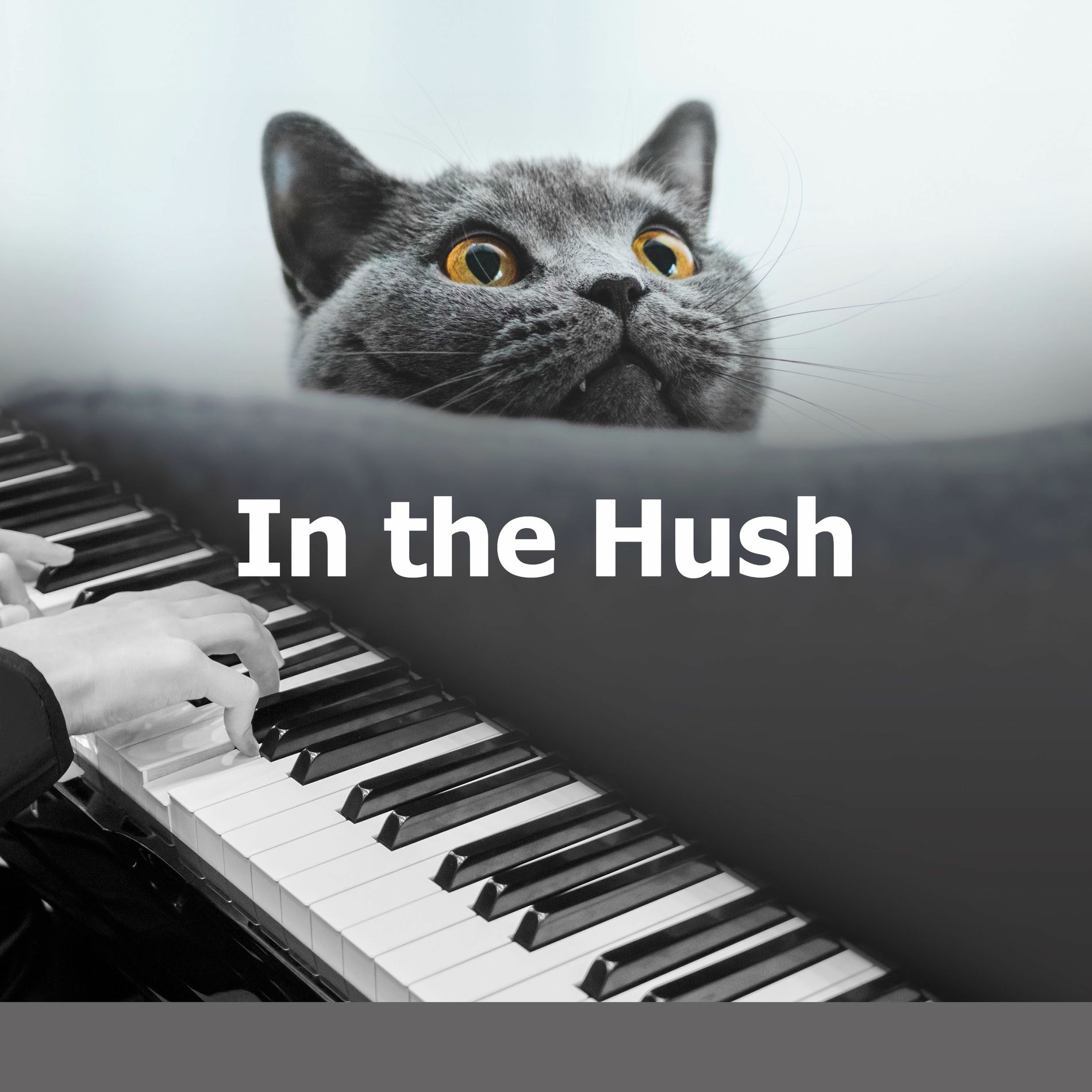Album cover of In the Hush