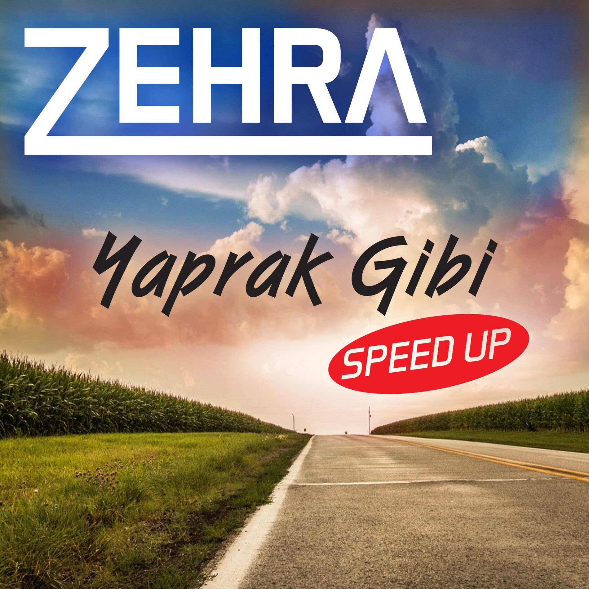 Album cover of Yaprak Gibi
