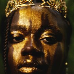 Cover of Dream Of Gold
