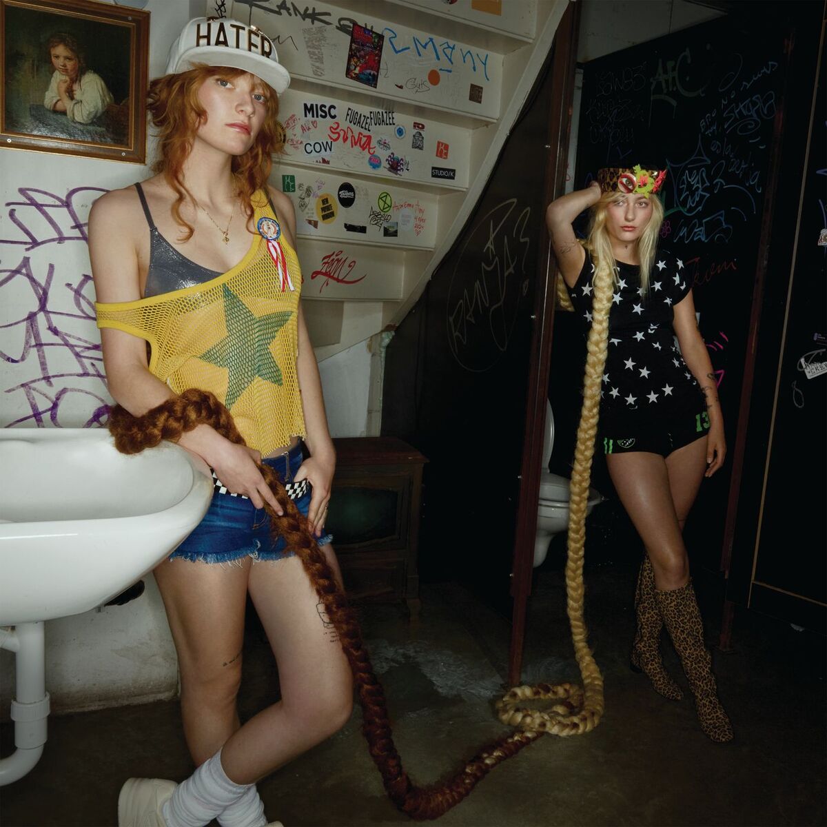 Album cover of Hart In Brand