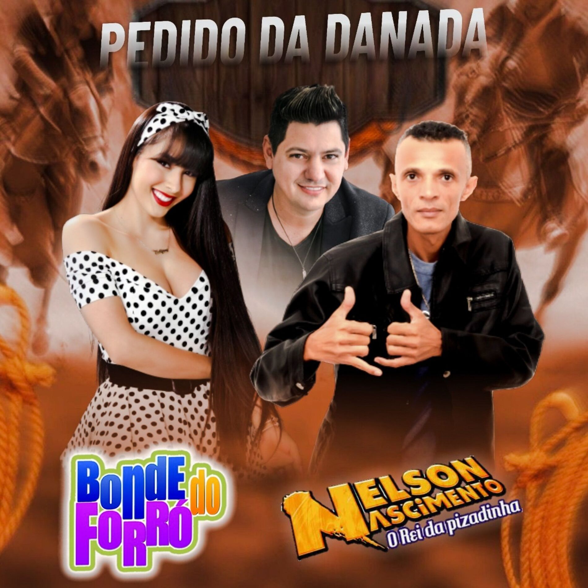Album cover of Pedido da Danada