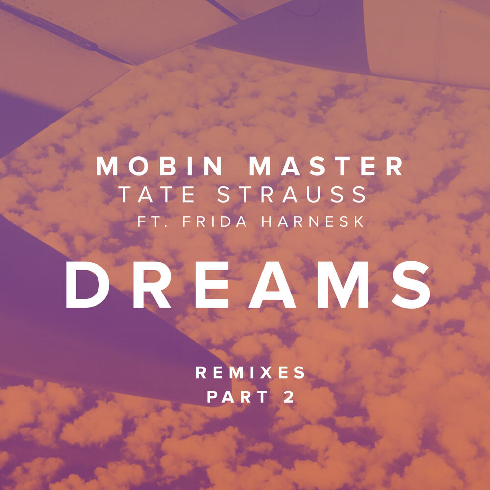 Picture of Dreams ft Frida Harnesk (Part 2)