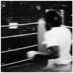 Cover of Prize Fighter