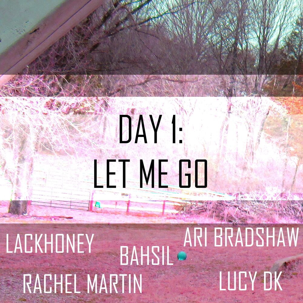 Picture of Day 1: Let Me Go