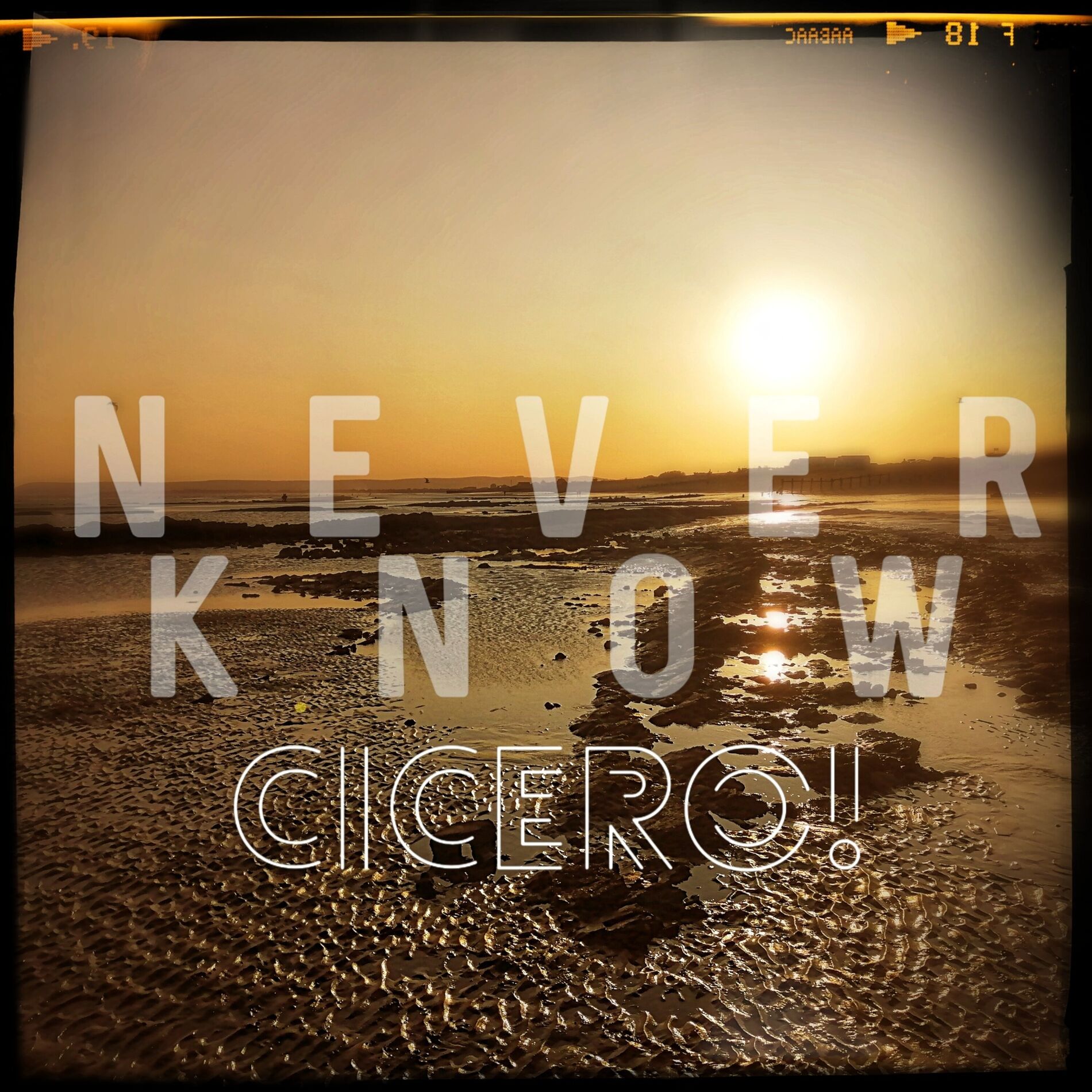 Album cover of Never Know (Radio Edit)