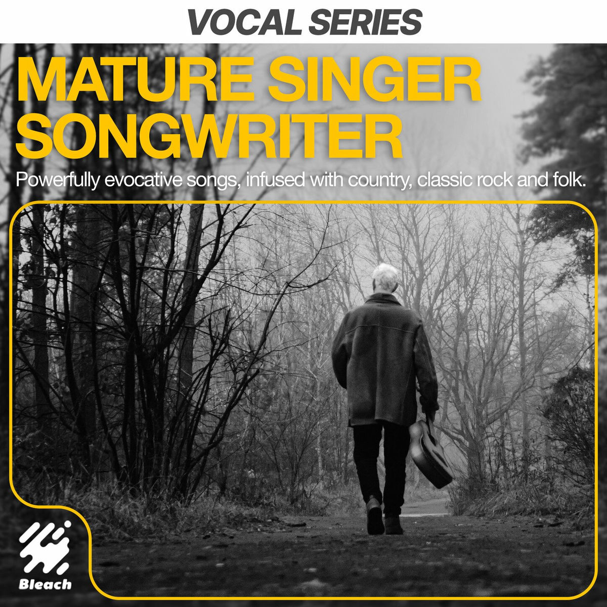 Album cover of Mature Singer-Songwriter